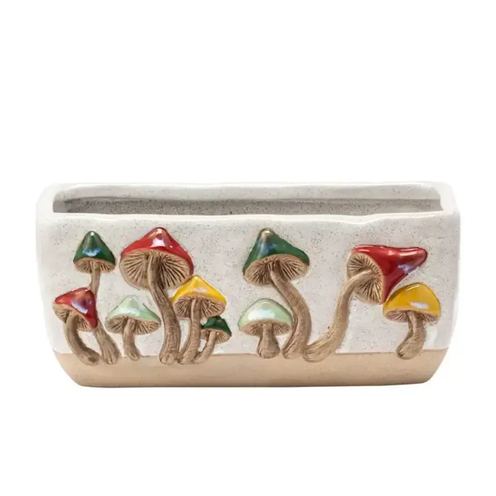Rectangular Planter with 3D Colorful Mushrooms