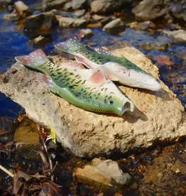 Fish Sandal Adult Large-Crappie