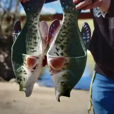 Fish Sandal Adult Large-Crappie
