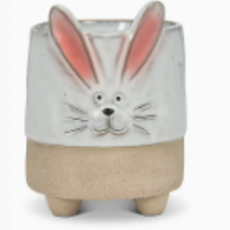 Abbott Bunny w/ ears planter - Large