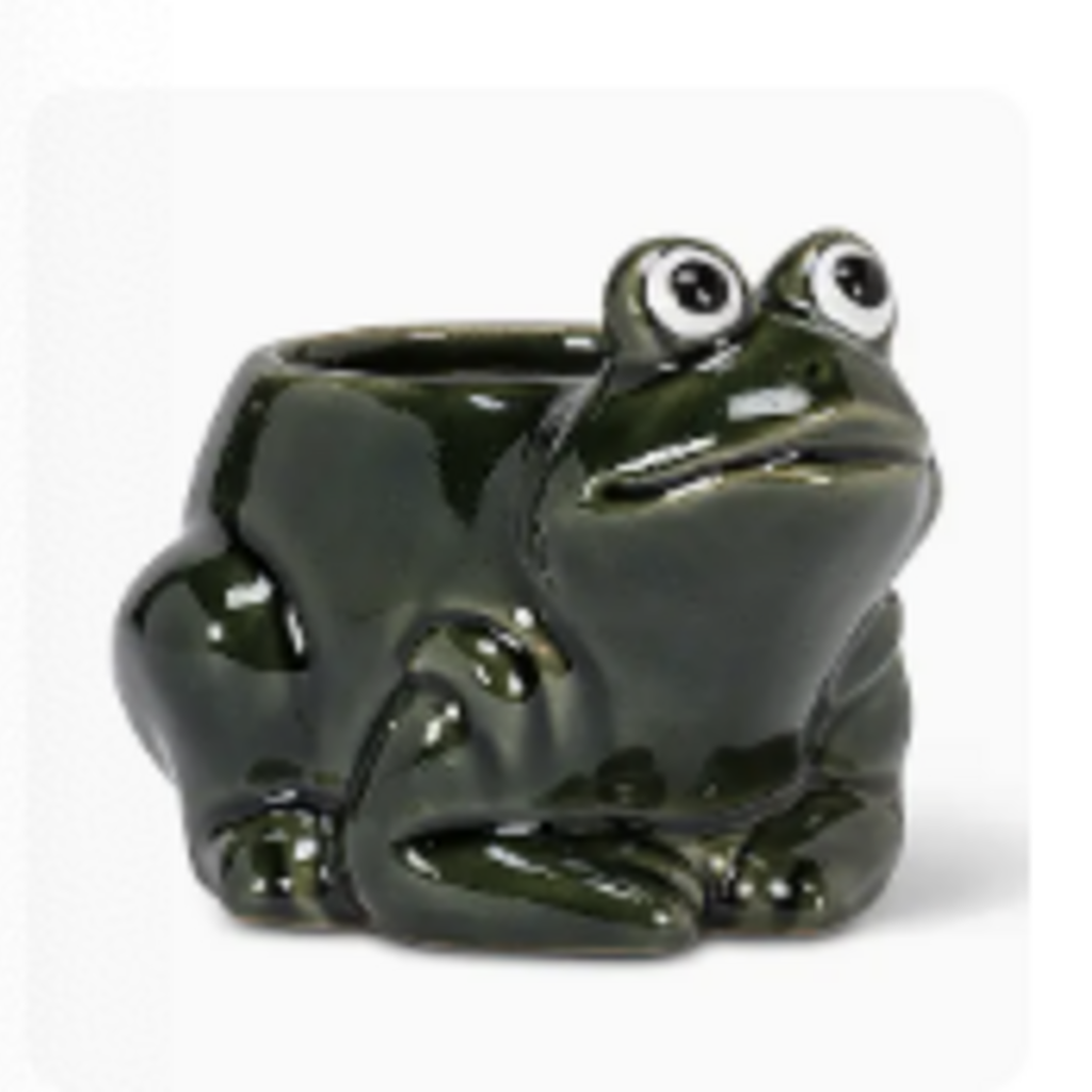 Abbott Crouched Frog Planter - Small