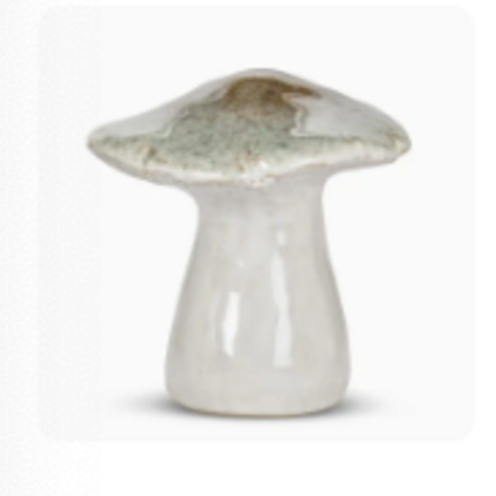 Abbott Mushroom - Wide Top