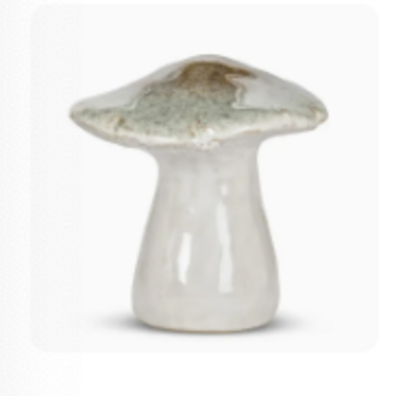 Abbott Mushroom - Wide Top