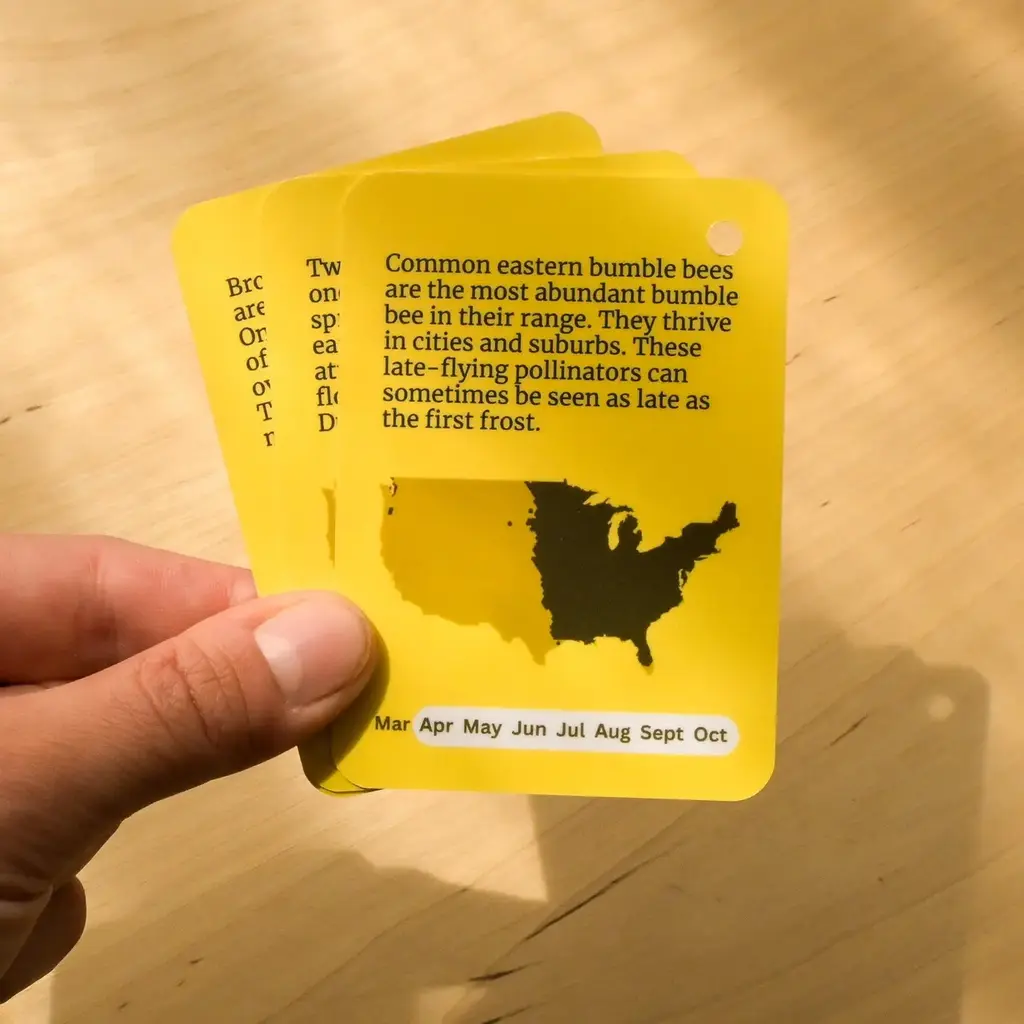 weneedtogooutside Bumble Bees of Eastern USA Field Guide Cards