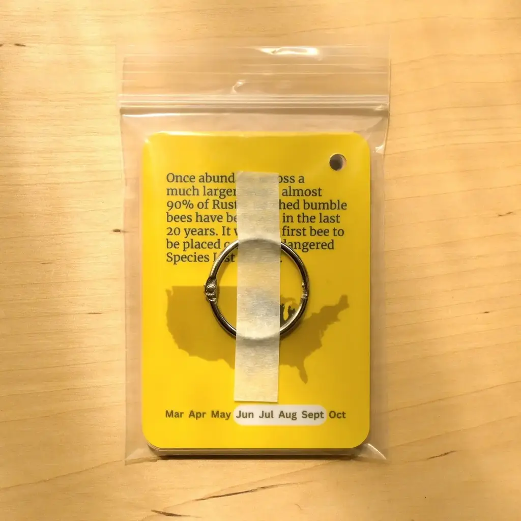 weneedtogooutside Bumble Bees of Eastern USA Field Guide Cards