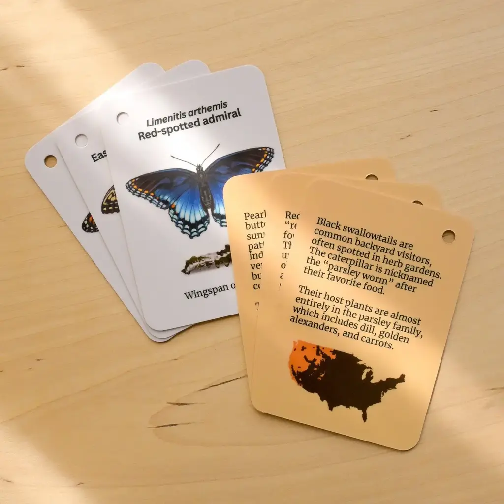 weneedtogooutside Butterflies of Eastern USA Field Guide Cards