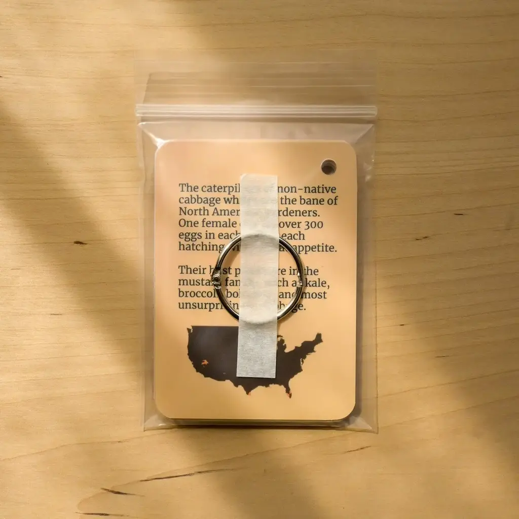 weneedtogooutside Butterflies of Eastern USA Field Guide Cards