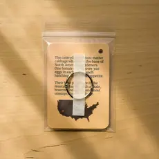 weneedtogooutside Butterflies of Eastern USA Field Guide Cards