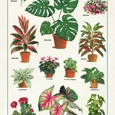 House Plants Tea Towel