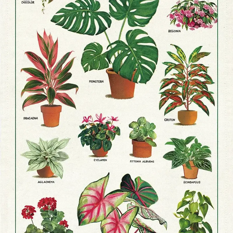 House Plants Tea Towel