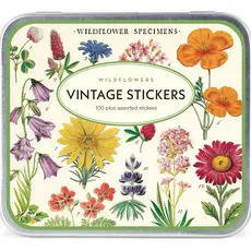 Cavallini Wildflowers Stickers