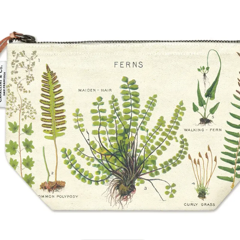 Ferns Pouch