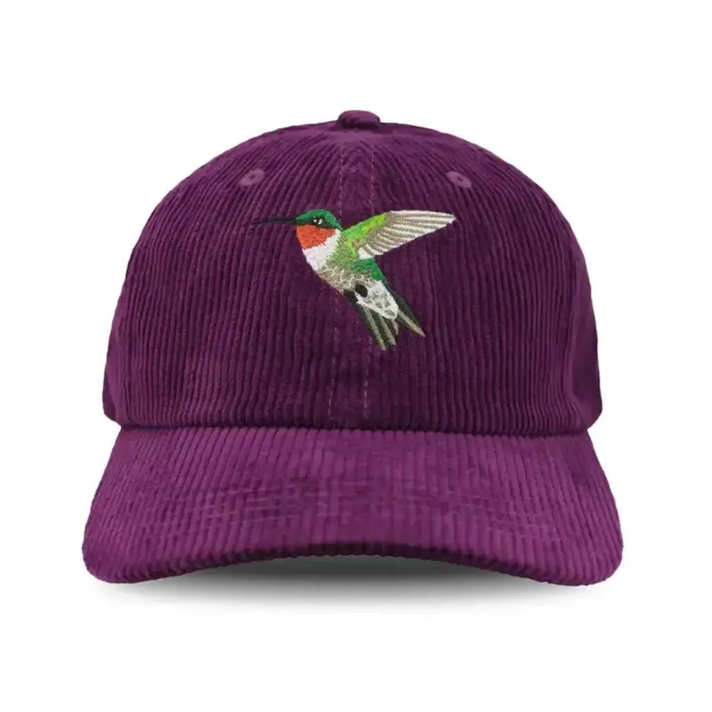 Bird Collective Ruby-Throated Hummingbird Corduroy Hat - Teal