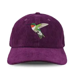 Bird Collective Ruby-Throated Hummingbird Corduroy Hat - Teal