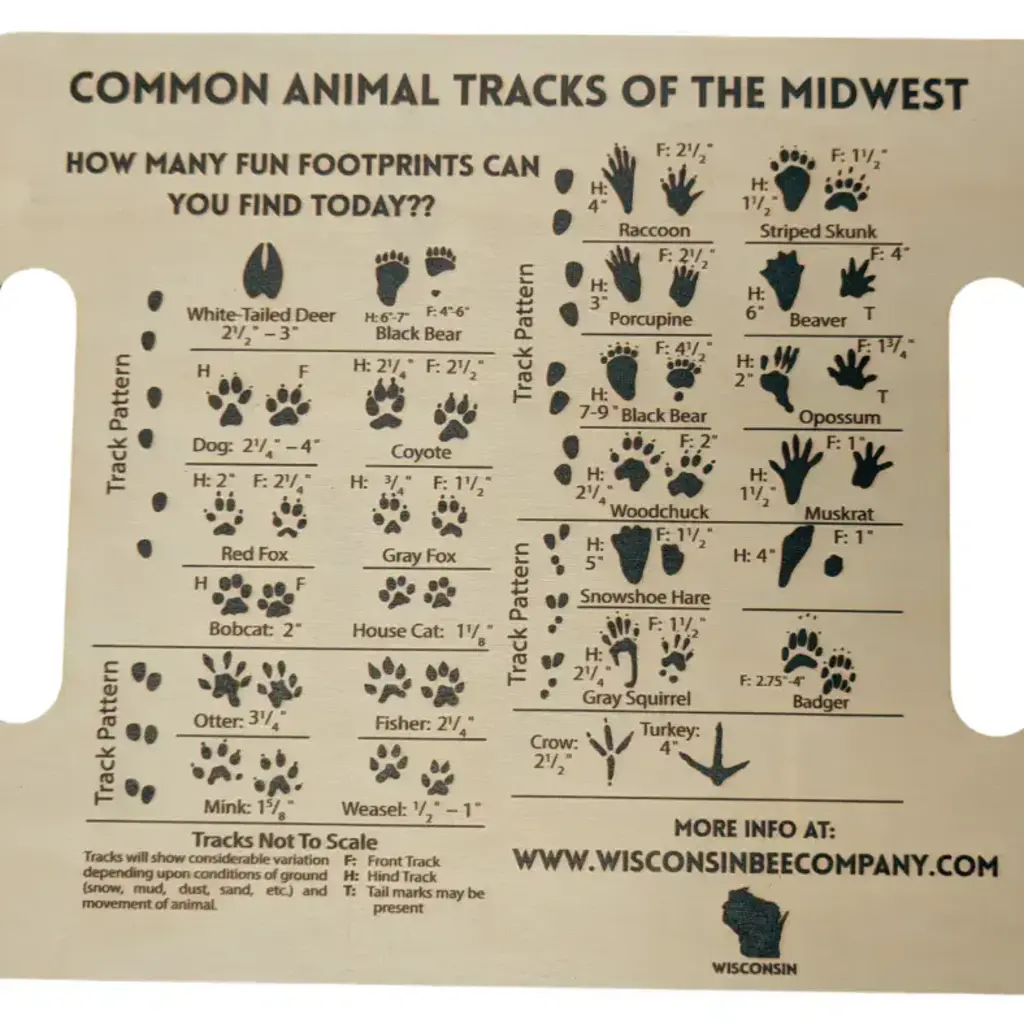 Wisconsin Bee Co. Nature Hunt & Animal Tracks Explorer