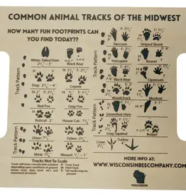 Wisconsin Bee Co. Nature Hunt & Animal Tracks Explorer