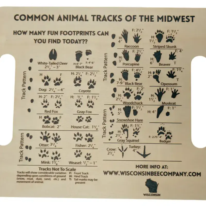 Wisconsin Bee Co. Nature Hunt & Animal Tracks Explorer