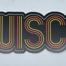 Flags Over Wisconsin Wisco Disco Vinyl Sticker