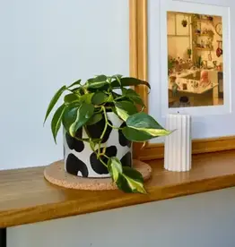LindaMakess Handpainted Cow Planter 3 in