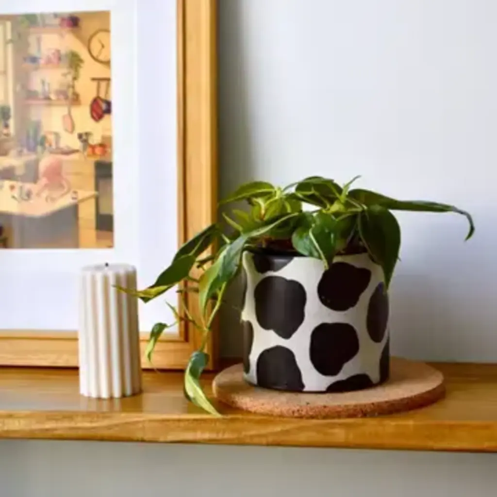 LindaMakess Handpainted Cow Planter 3 in