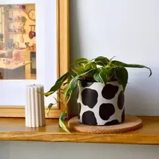 LindaMakess Handpainted Cow Planter 3 in
