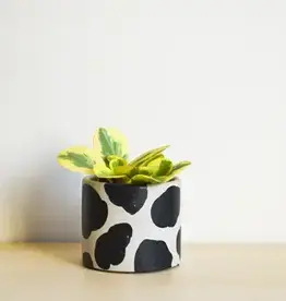 LindaMakess Handpainted Cow Planter 4 in