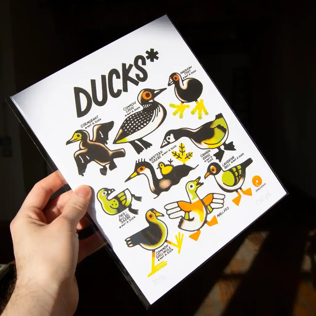Curlworks Ducks (Not A Duck) - 8x10" Risograph Print