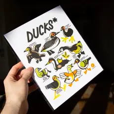 Curlworks Ducks (Not A Duck) - 8x10" Risograph Print