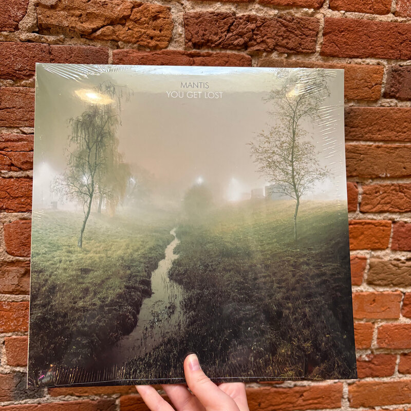 Mantis You Get Lost (LP)