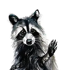 Luhman Ethan Rusty Raccoon: and the Sugar Bowl