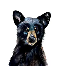 Luhman Ethan Rusty Raccoon: and the Sugar Bowl