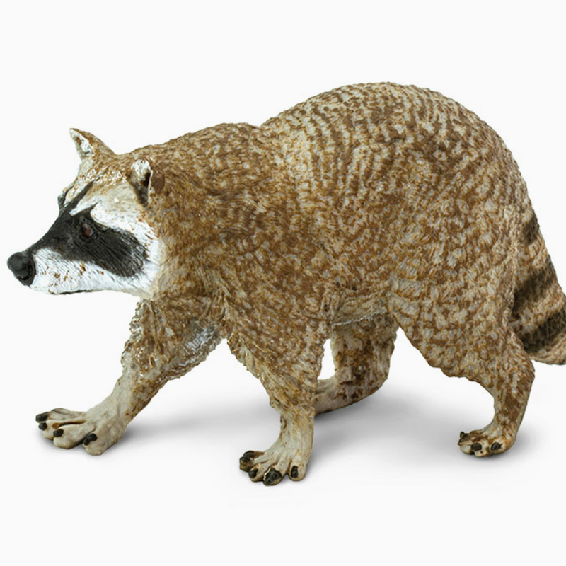 Safari Toys Animal Toy -  Raccoon