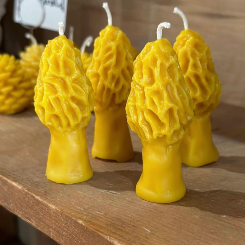 Sister Bees LLC Candle - Morel Mushroom Pure Beeswax