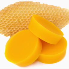 Sister Bees LLC Candle - Morel Mushroom Pure Beeswax