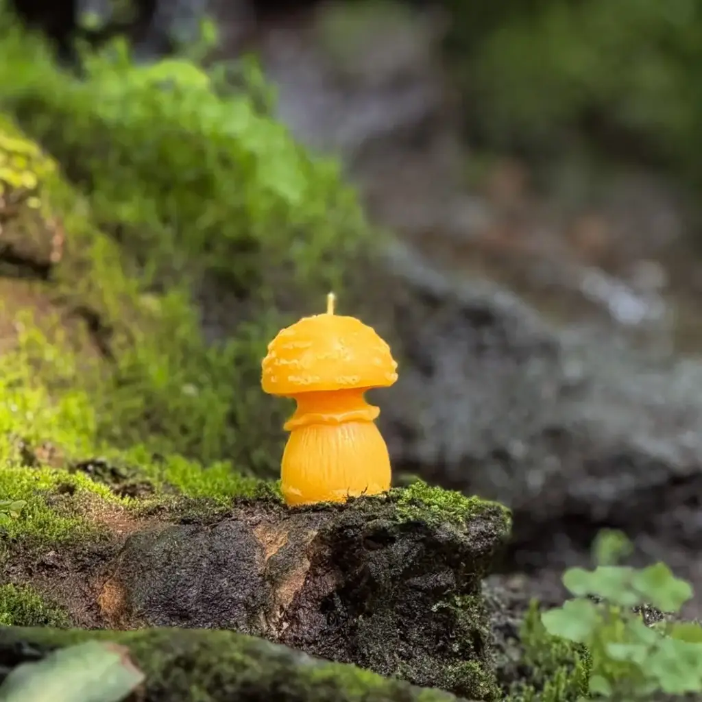 Amanita Small - Pure Beeswax Candle