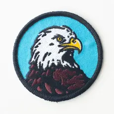 Union Made Bald Eagle Embroidered Iron On Patch