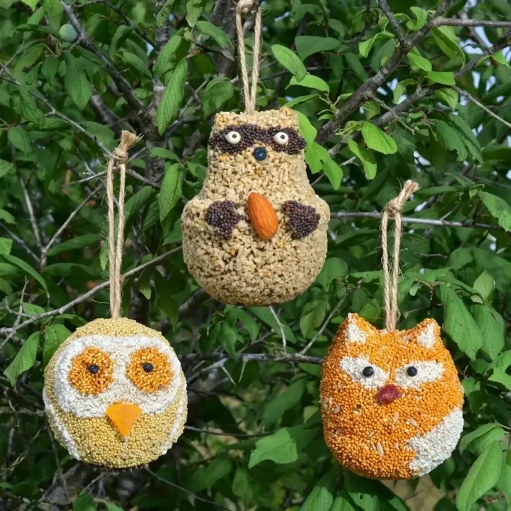 Mr Bird Woodland Friends bird treat -