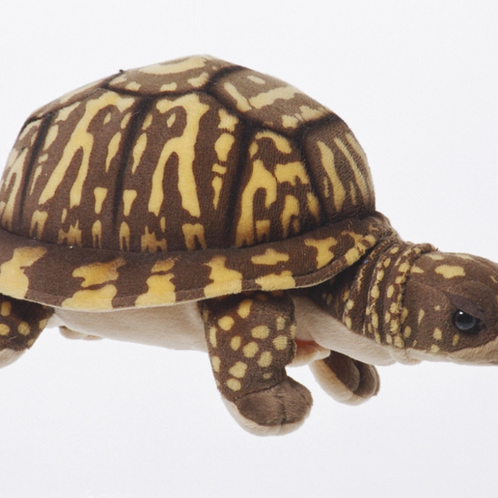 Cabin Critters Inc 11" Box Turtle