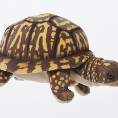 Cabin Critters Inc 11" Box Turtle