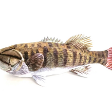 Cabin Critters Inc 10" Smallmouth Bass