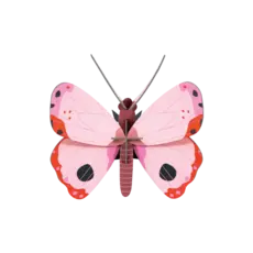 Studio Roof Wall Decoration - Rosora Butterfly