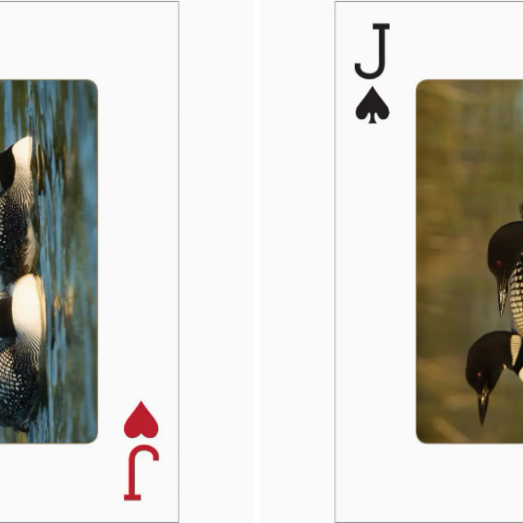 AdventureKEEN (Faire) Loon Playing Cards