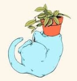 Pothead Prints Pothead Print - "Hoya Cat" (8x10)