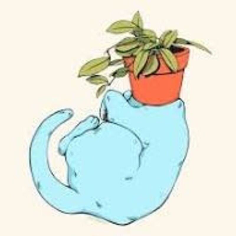 Pothead Prints Pothead Print - "Hoya Cat" (8x10)