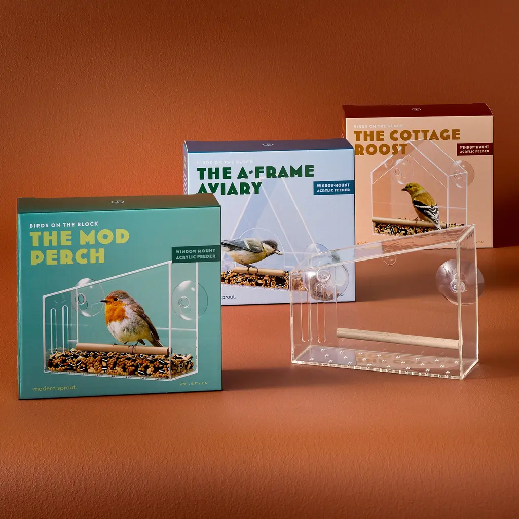 Modern Sprout Birds On the Block -