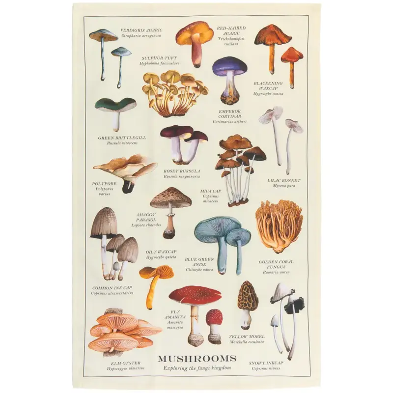 Now Designs by Danica Dishtowel - Mushrooms Fine Print