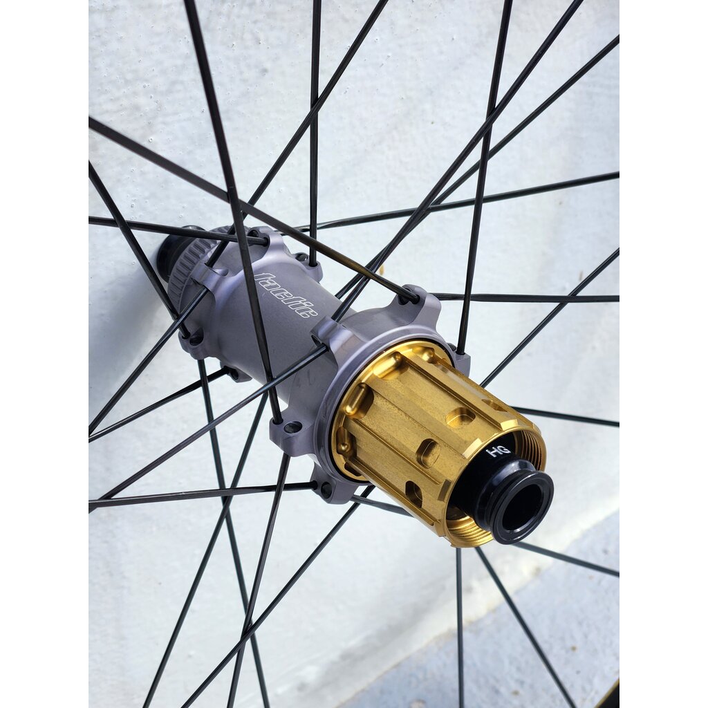 Princeton PEAK EVO Disc TR01 Gold Decal Shimano Freehub