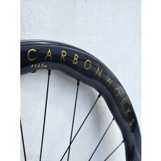 Princeton PEAK EVO Disc TR01 Gold Decal Shimano Freehub