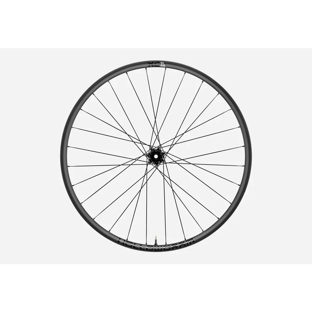 Cannondale XC-SL 25 Hollowgram 29" MTB Wheelset