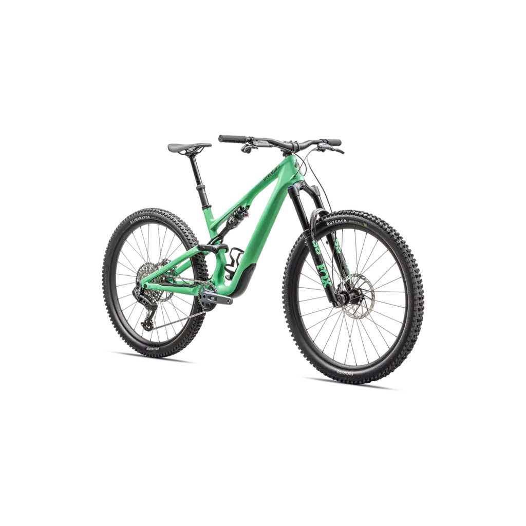 2025 Specialized Stumpjumper 15 Expert